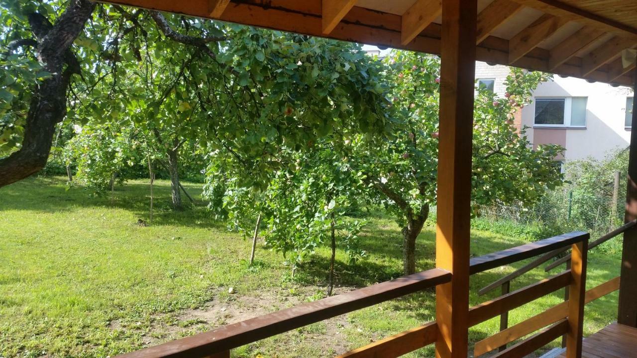Вілла Vasarnamis Zarasuose Зарасай Екстер'єр фото